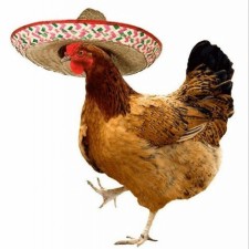 Avatar for Stefan from gravatar.com