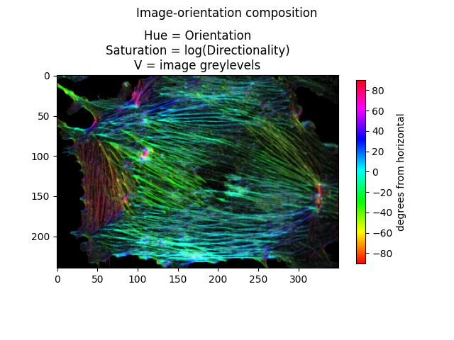 https://epfl-center-for-imaging.gitlab.io/orientationpy/_images/sphx_glr_plot_fibres_2d_005.png