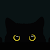 Avatar for murrchacho from gravatar.com