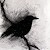 Avatar for blackbird_sings from gravatar.com