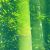 Avatar for secret-tangyuan from gravatar.com