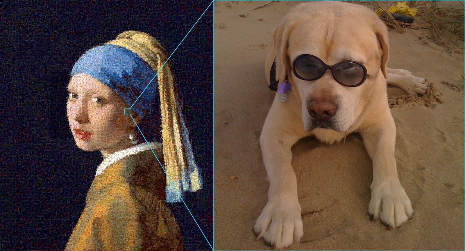 A still image rebuilt the same way, with one cell zoomed in to the photograph that fills it
