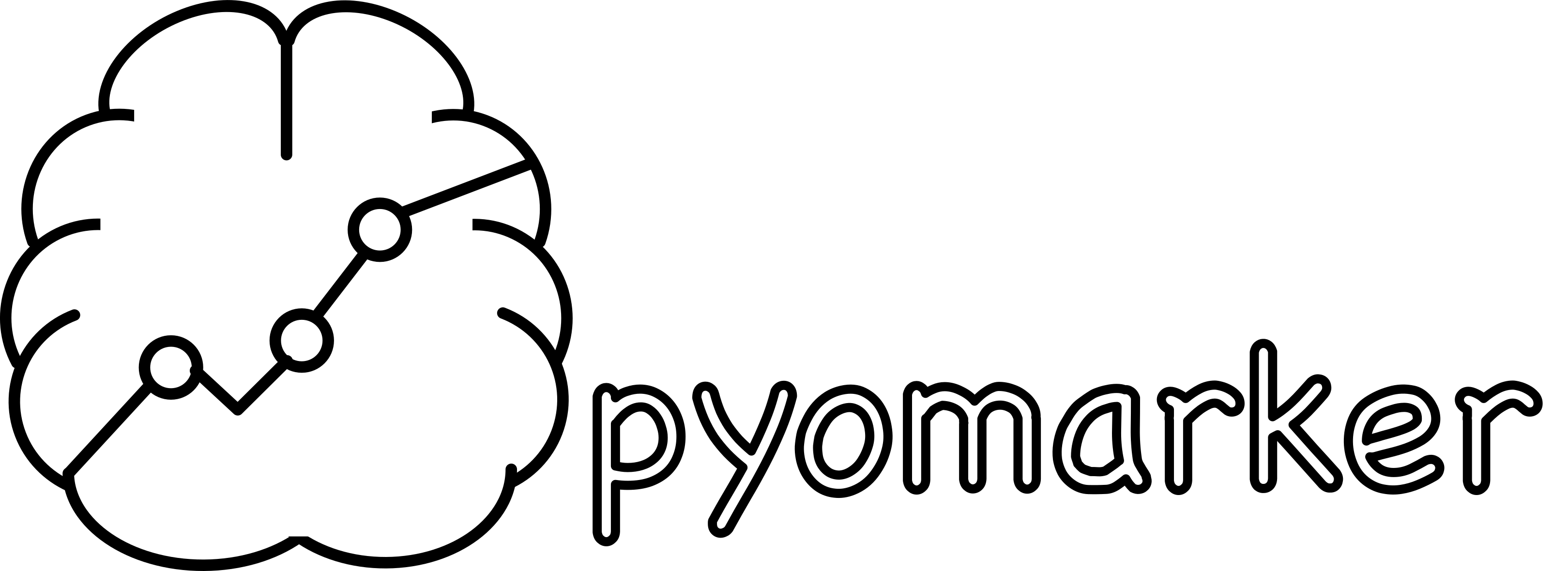 Pyomarker logo