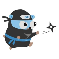Avatar for RAKOTONIRINA Manankasina  Nomentsoa from gravatar.com