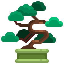 Avatar for Data Bonsai from gravatar.com