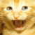 Avatar for bastibense from gravatar.com