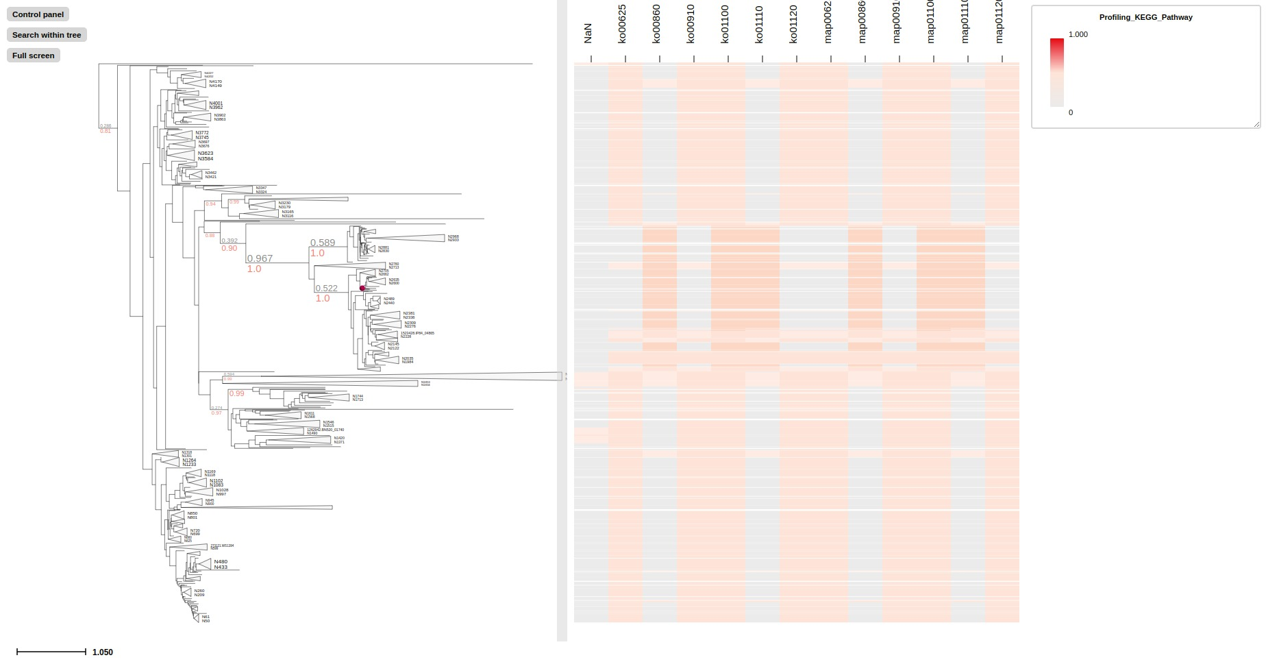 eggnogmapper example