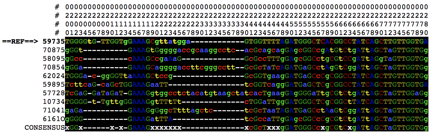 https://github.com/nhoffman/alnvu/raw/master/doc/html.png