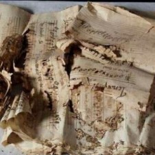 Avatar for marcos from gravatar.com