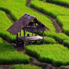 Avatar for Mohan Chinnappan  from gravatar.com