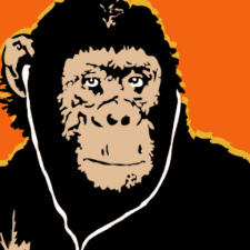 Avatar for dinfernandes from gravatar.com