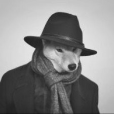 Avatar for Vladas from gravatar.com