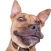 Avatar for GravyToast from gravatar.com