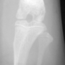 Avatar for Anonymous from gravatar.com