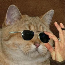 Avatar for Esko-Kalervo Salaka from gravatar.com