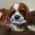 Avatar for w0m from gravatar.com
