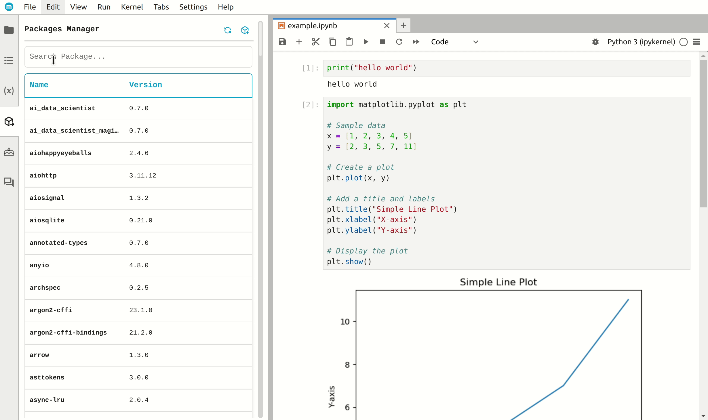 Jupyter package manager pypi