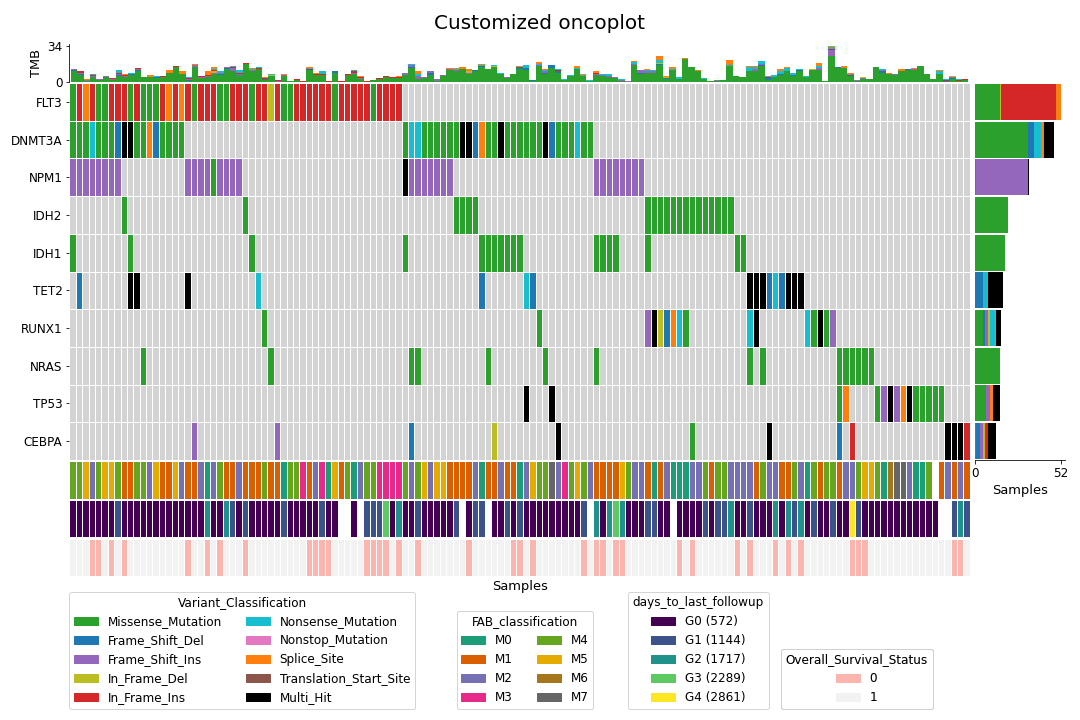 https://raw.githubusercontent.com/sbslee/fuc-data/main/images/customized_oncoplot.png