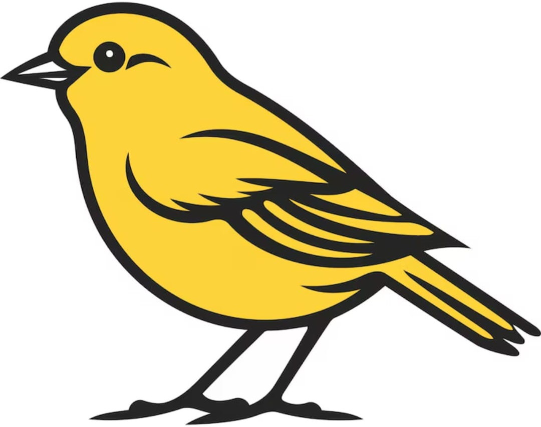 A bird, original image