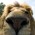 Avatar for mizi from gravatar.com