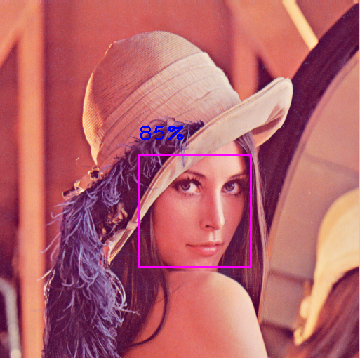 Face Detection Image