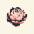 Avatar for ghostpeony from gravatar.com