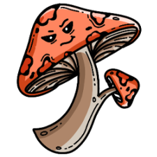 Avatar for Jacob from gravatar.com