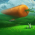 Avatar for Settorac from gravatar.com