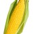 Avatar for DiogoAzevedo from gravatar.com