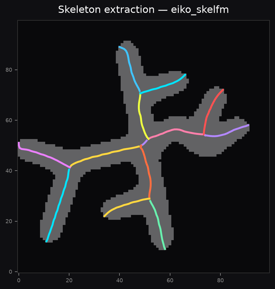 Skeleton extraction result