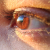 Avatar for Idris-Vohra from gravatar.com