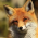 Avatar for lunarca from gravatar.com