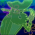 Avatar for rede from gravatar.com