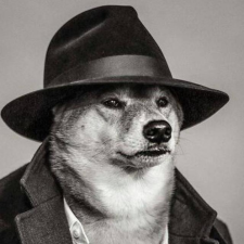 Avatar for Cris Mihalache from gravatar.com