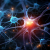 Avatar for brainhu42 from gravatar.com
