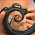 Avatar for jlansey from gravatar.com