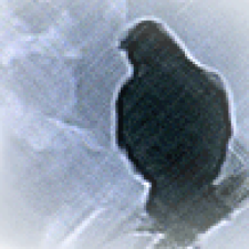 Avatar for Konrad M. Lawson from gravatar.com
