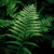 Avatar for usman-369 from gravatar.com