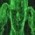 Avatar for codevision.source from gravatar.com