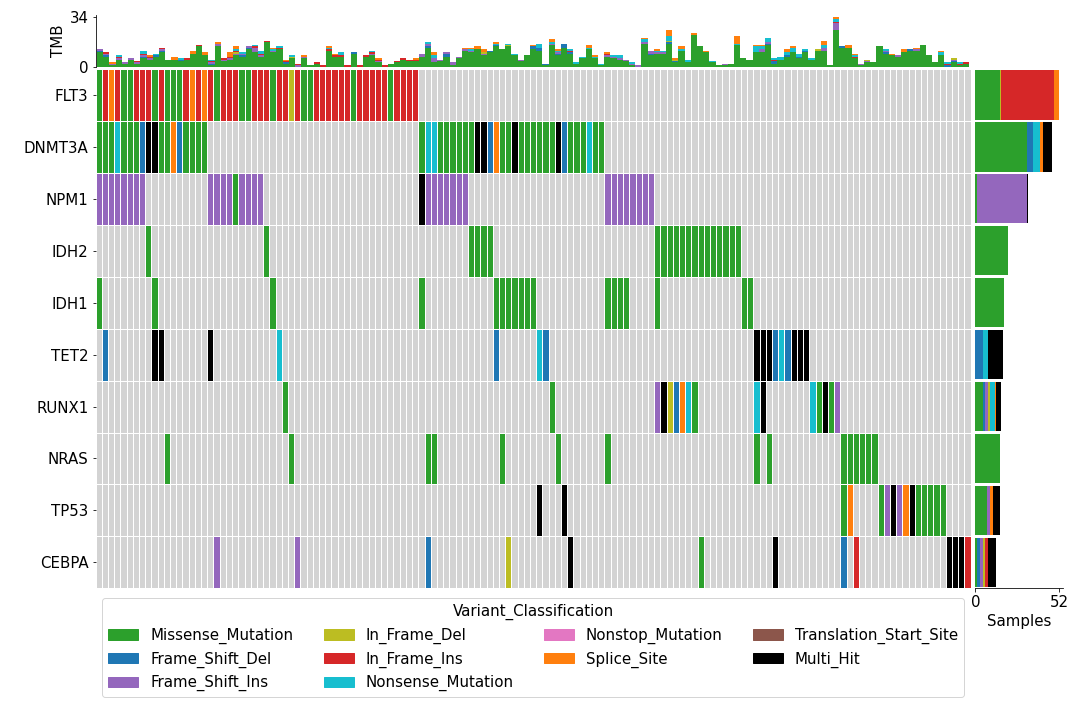 https://raw.githubusercontent.com/sbslee/fuc-data/main/images/oncoplot.png