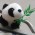Avatar for qrqiuren from gravatar.com