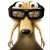 Avatar for ckoetael from gravatar.com