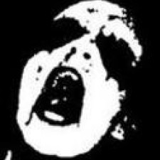 Avatar for Travis Shirk from gravatar.com