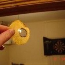 Avatar for Greg Knox from gravatar.com