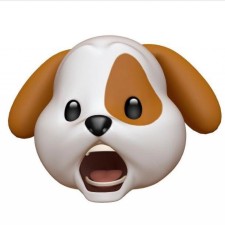 Avatar for Jianan Shen from gravatar.com