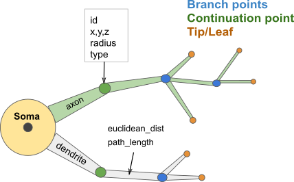 Node and edge attributes