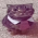 Avatar for whisker-s from gravatar.com