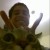 Avatar for dmrib from gravatar.com