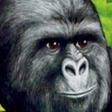Avatar for AdamKempenich from gravatar.com