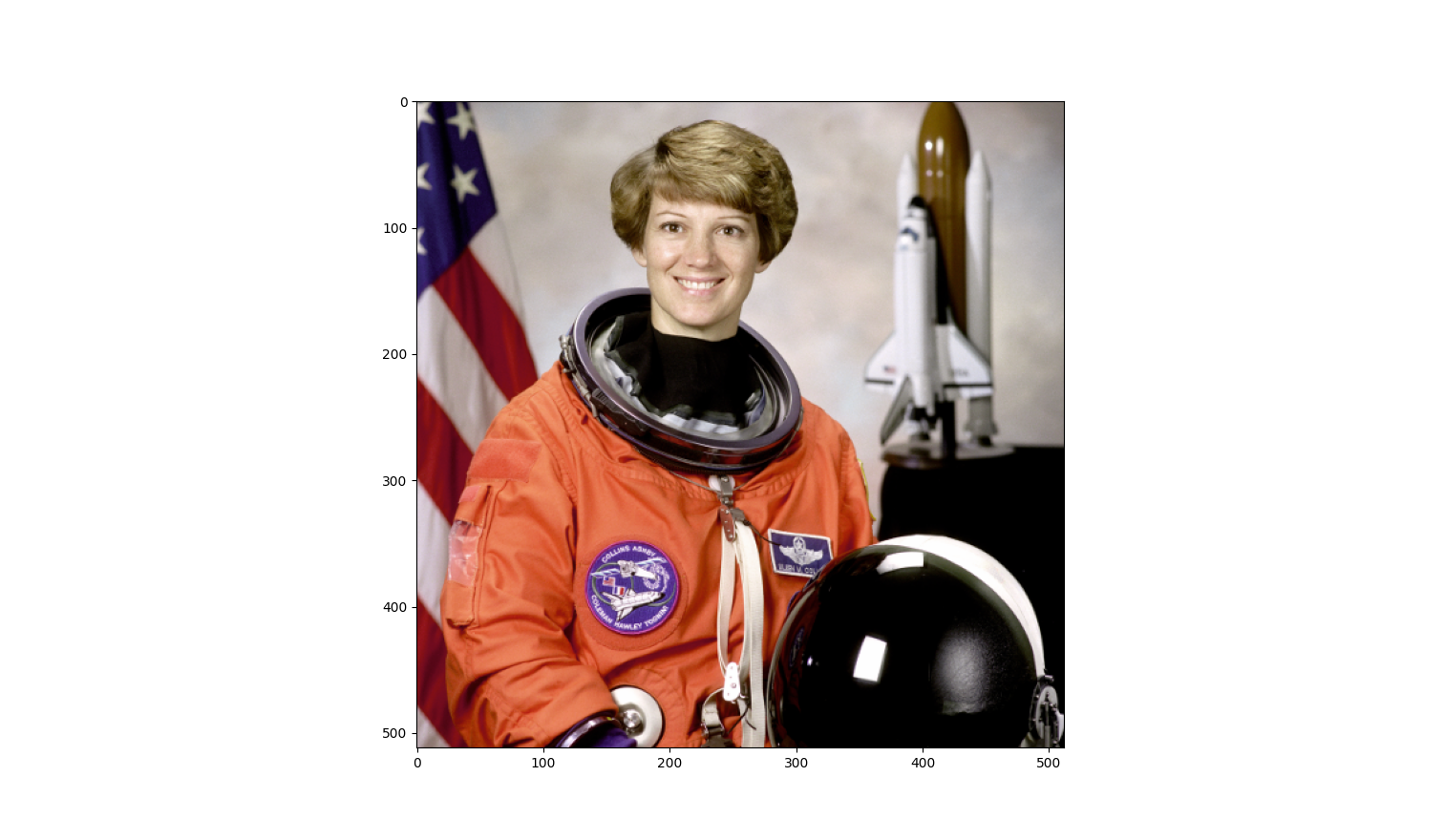 Astronaut Image